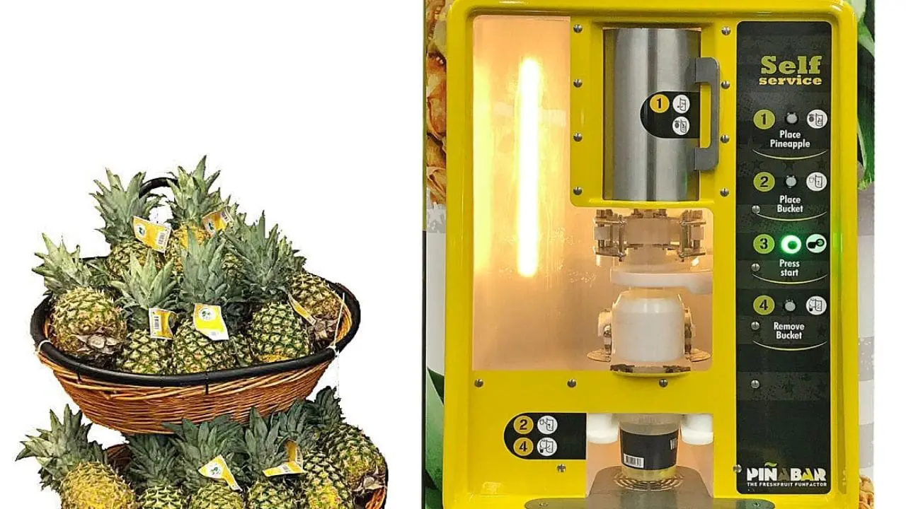 Perks at Work: Creative Ways to Incentivize Team Members with Fresh Juice and Fresh Pineapple