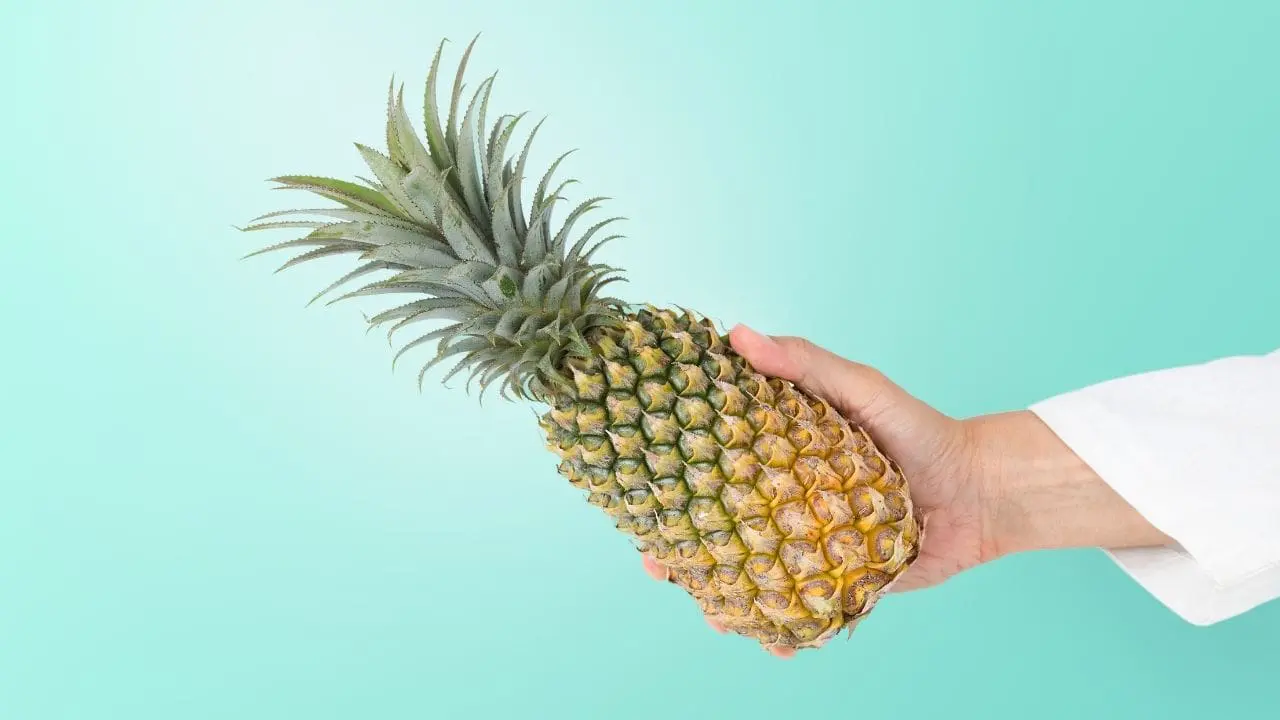 The Benefits of Commercial Pineapple Corers