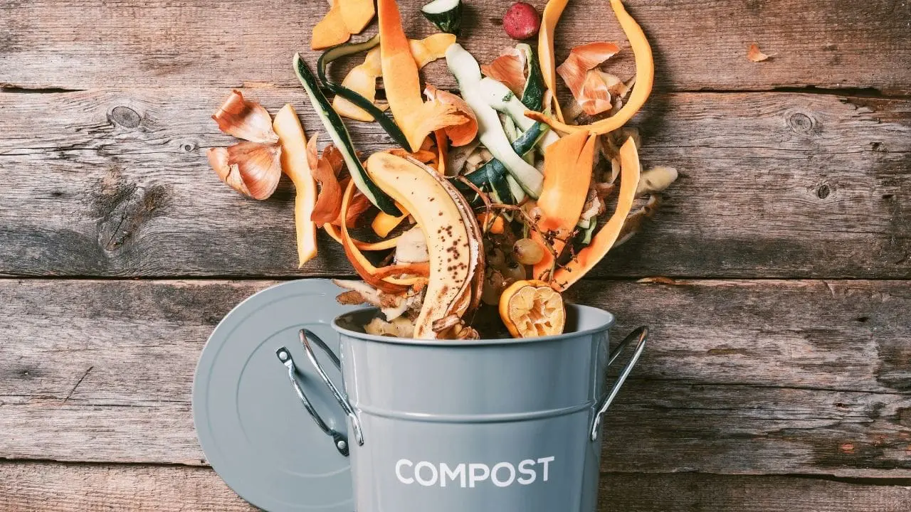 Tips for Creating a Sustainable Juice Bar