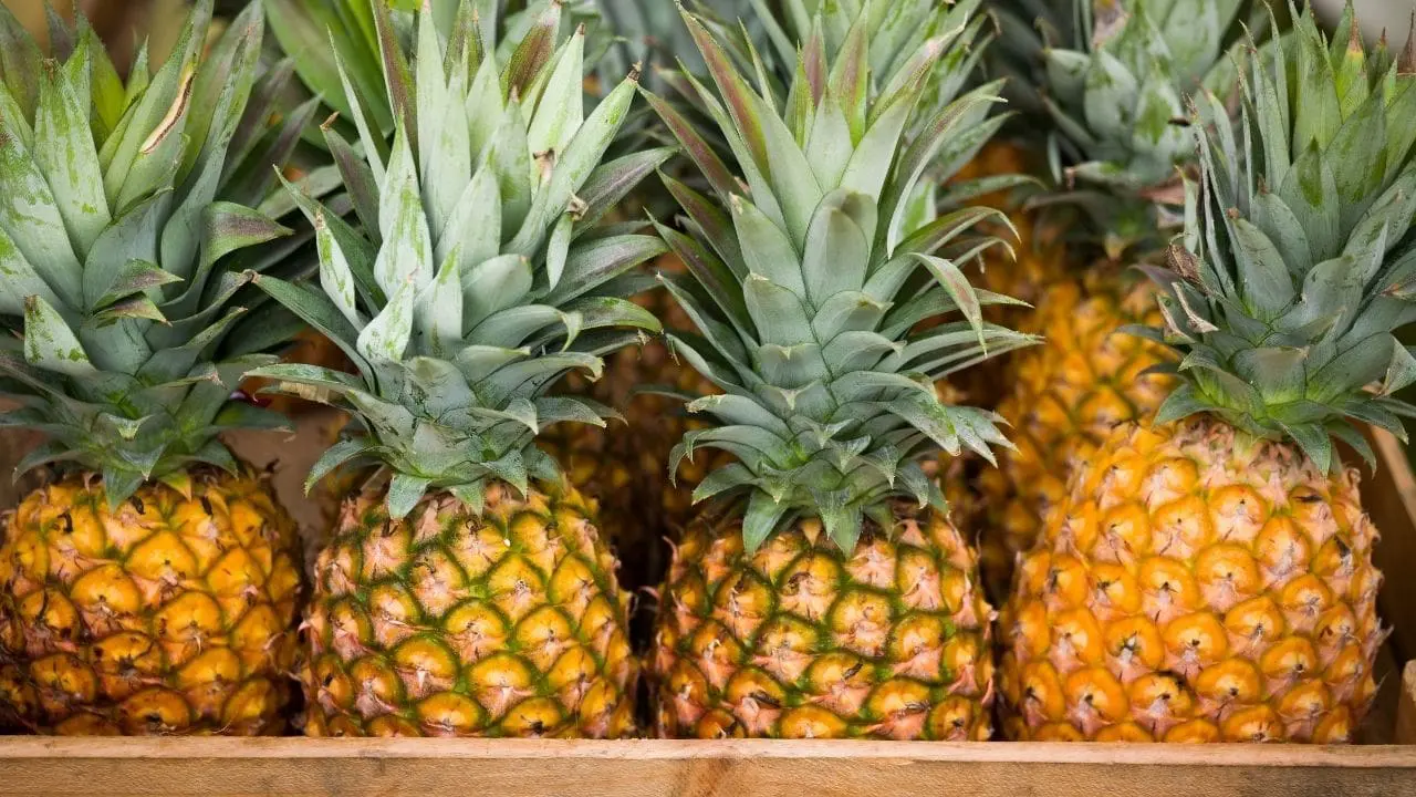 Stores and Markets That Would Benefit From a Pi&ntilde;abar