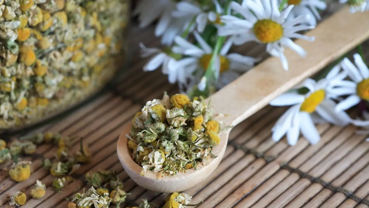 3 Herbs That Are Surprisingly Tasty for Juicing