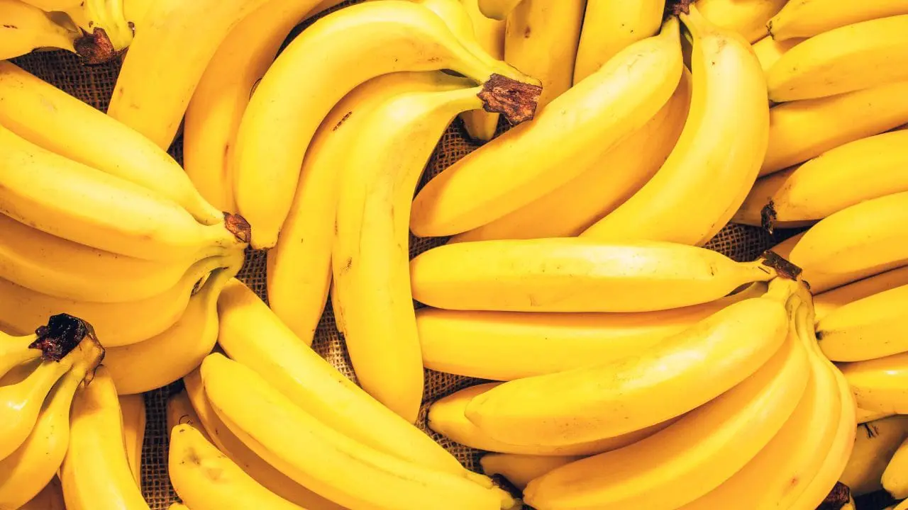 Tips on Extending the Shelf Life of Fresh Juice