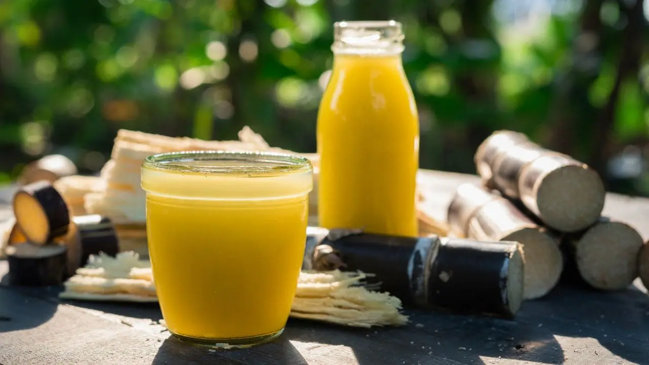 Vegan Food Trends You Can Expect To See in 2023