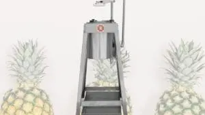 Kitchen Equipment Checklist for Coring Fruits and Vegetables