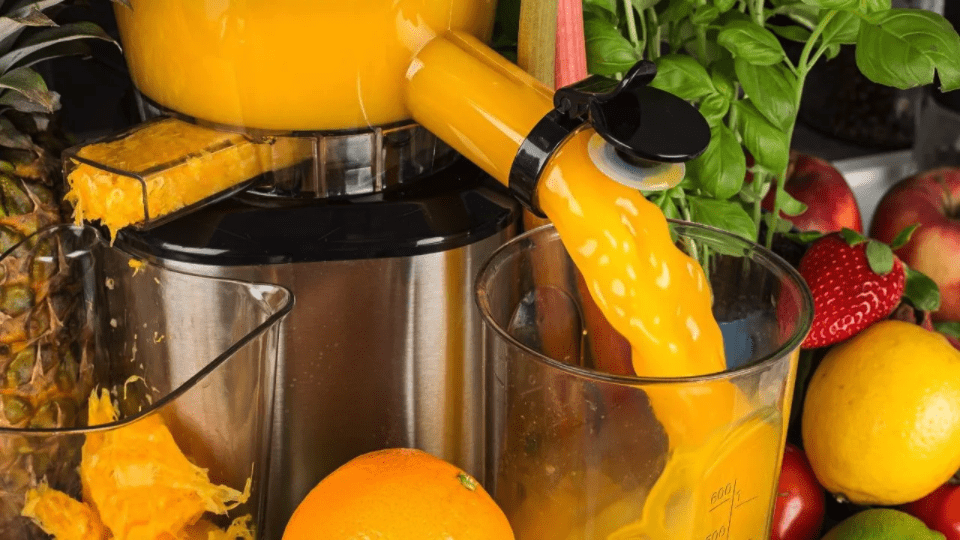 Understand the Different Types of Juicers and How They Work