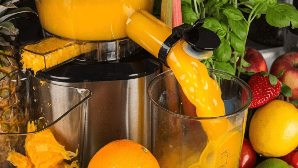 Juice Extractor vs Juicer: What's the Difference? - Cuisine at