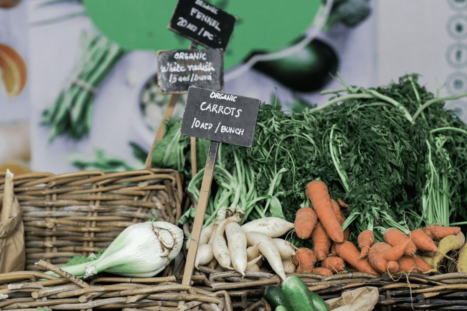 Fennel Root Juice Recipe