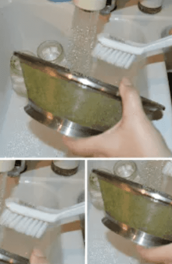 How To Throughouly Clean a Juicer