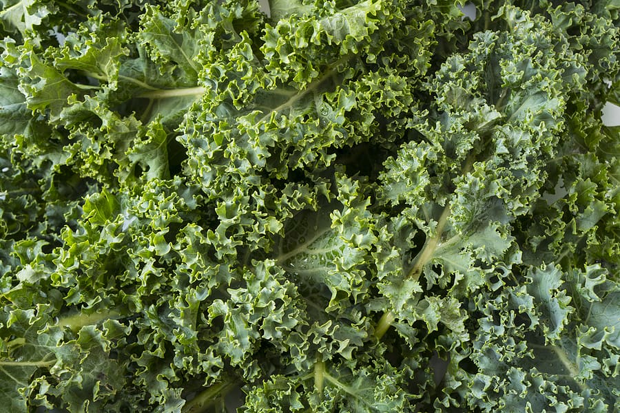 Happy National Kale Day!
