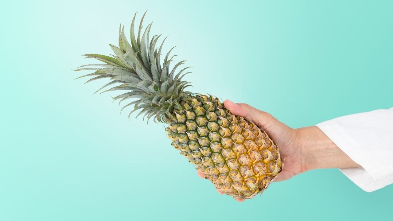 The Benefits of Commercial Pineapple Corers