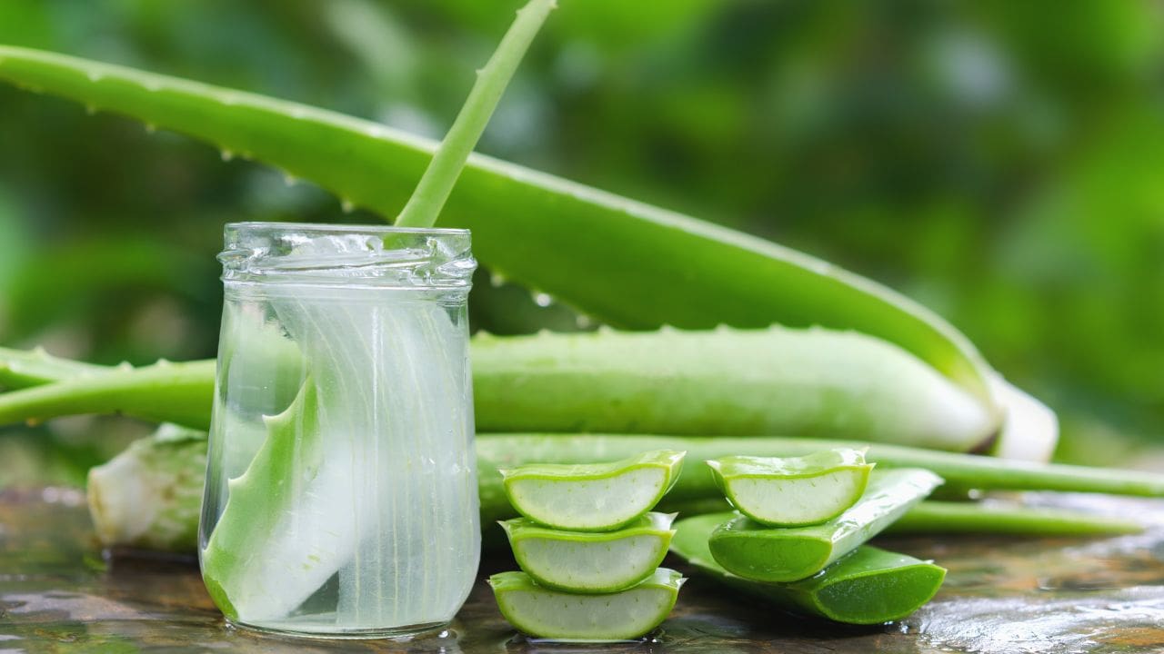 5 Healthy Benefits of Drinking Aloe Vera Juice