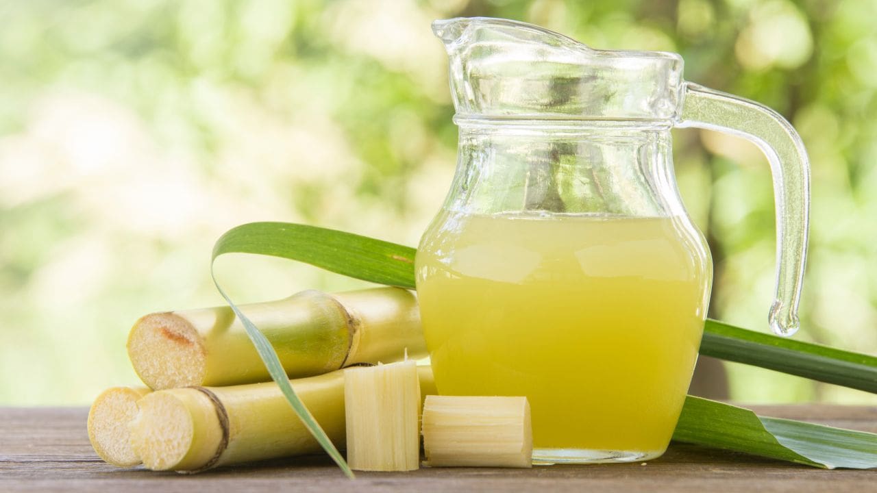 Basic Tips for Growing and Harvesting Sugarcane